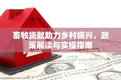 清浦畜牧贷款助力乡村振兴，政策解读与实操指南